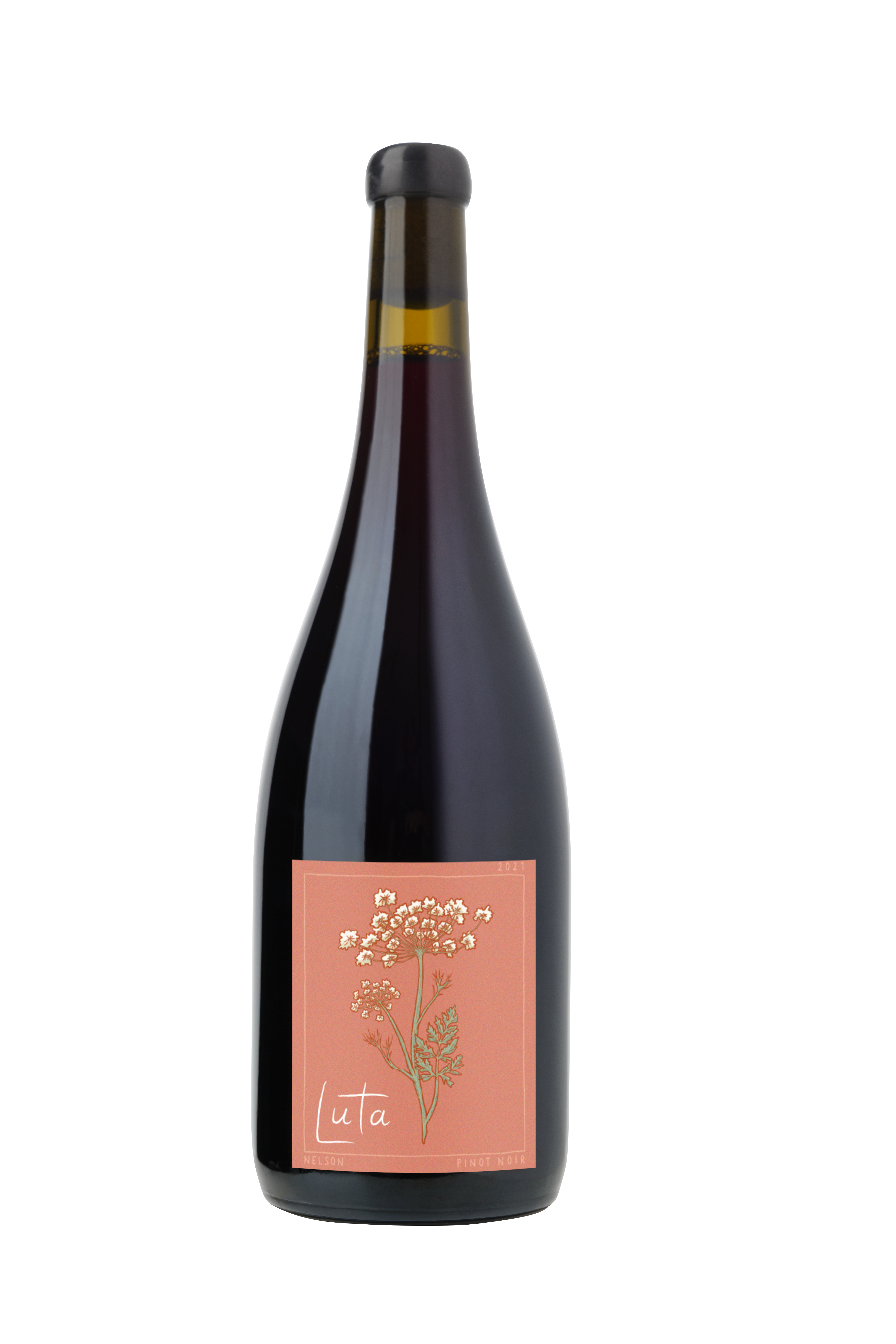 Rising Pinot Noir 2022 – Luta Wines