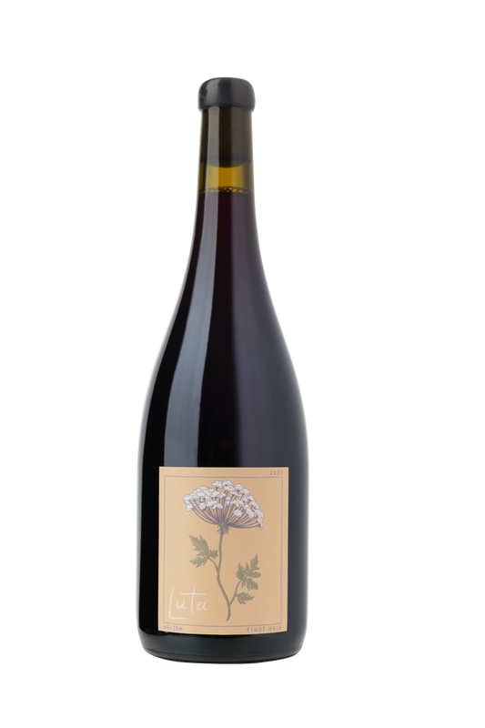 Luta Shadow Pinot Noir 2022