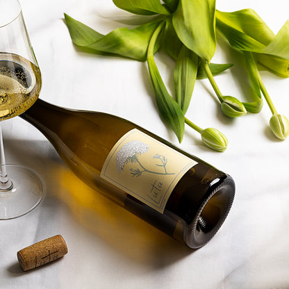 Luta Collection Echoes Chardonnay 2023