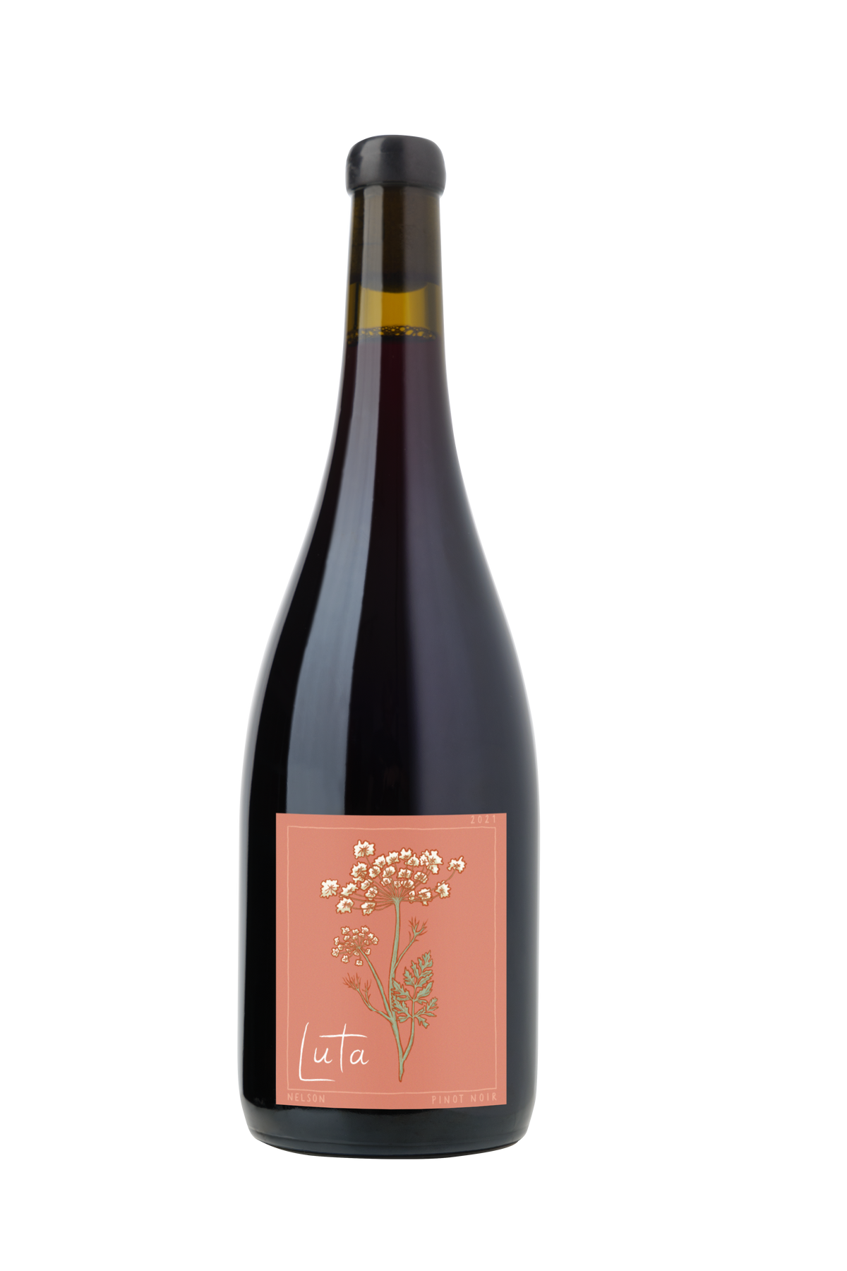 Rising Pinot Noir 2022 – Luta Wines Rising Pinot Noir 2022 – Luta Wines